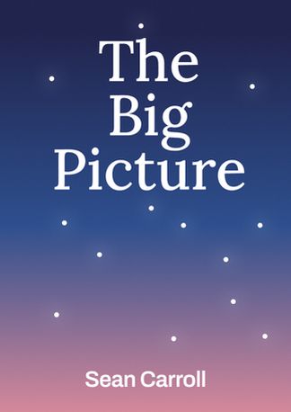 The Big Picture
