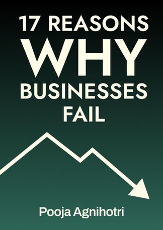 17 Reasons Why Businesses Fail