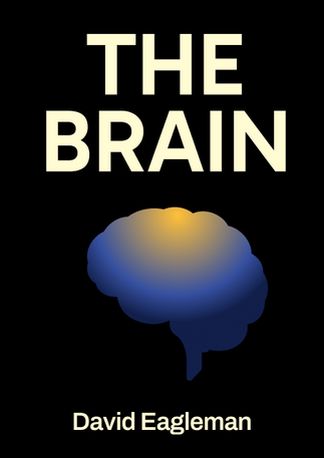 The Brain