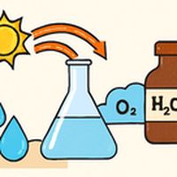 the_update 03/12/2025