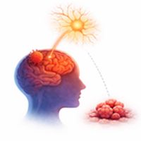 the_update 05/02/2026