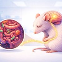 the_update 12/03/2026