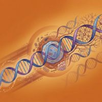 the_update 16/04/2026