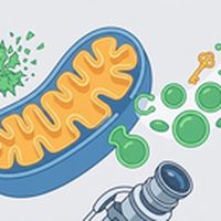 the_update 28/04/2026