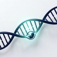 the_update 08/06/2026