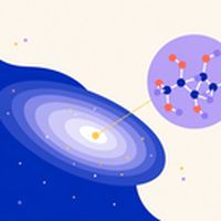 the_update 14/07/2026