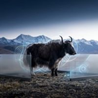 the_update 27/07/2026